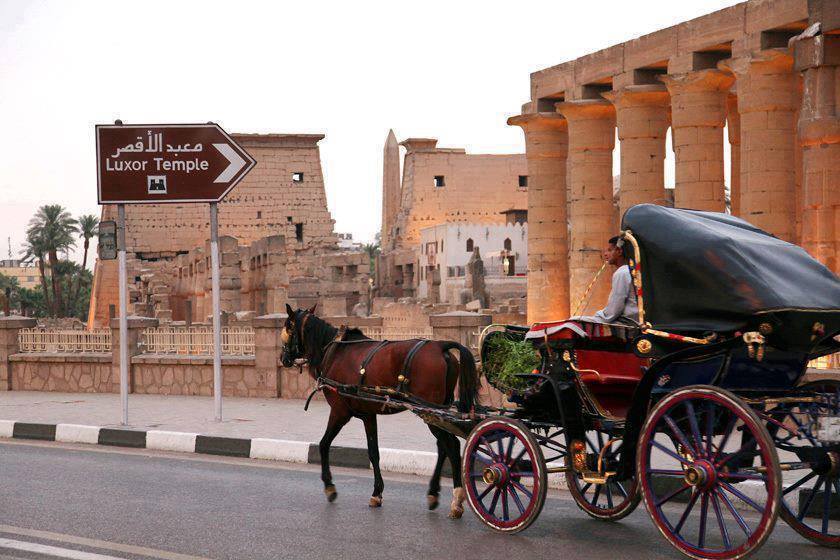 Luxor Private Tour For a Single Person