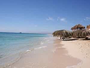 Snorkeling Trip to Mahmya Beach on Giftun Island