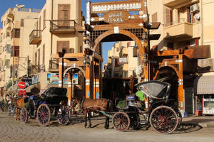 Luxor Private Tour up to 3 Persons