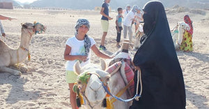 Morning Desert Safari Quad For 1 Person