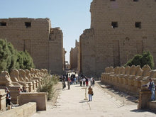 Load image into Gallery viewer, Luxor Private Tour For a Single Person