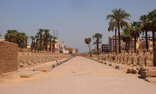 Load image into Gallery viewer, Luxor Private Tour For a Single Person