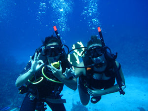 Diving Tour