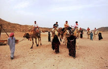 Load image into Gallery viewer, JEEP DESERT SAFARI