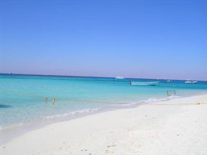 Snorkeling Trip to Paradise Beach on Giftun Island