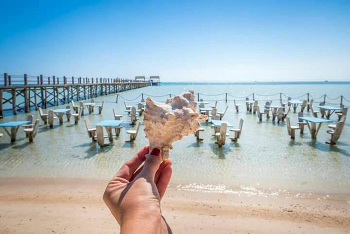 Snorkeling Trip to Orange Bay on Giftun Island