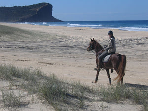 HORSE & CAMEL RIDING 1h