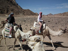 Load image into Gallery viewer, HORSE &amp; CAMEL RIDING 1h