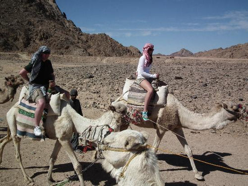 HORSE & CAMEL RIDING 3h