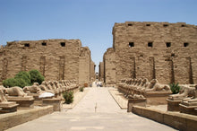 Load image into Gallery viewer, Luxor Private Tour 4 to 8 Persons