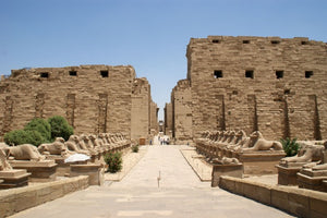 Luxor Private Tour 4 to 8 Persons