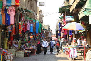 Cairo Private Tour up to 3 Persons